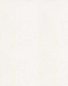 silestone blancozeus